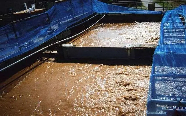 洗砂廢水處理消泡劑應用場景